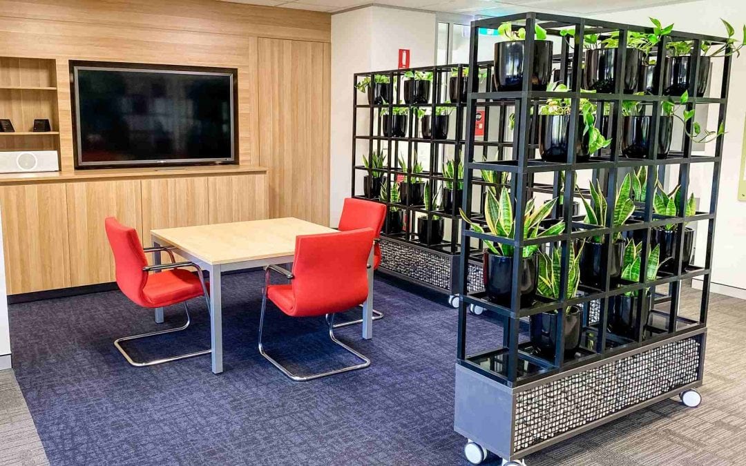 Office furniture and workstations in Warabrook, Newcastle, featuring office partition of planters